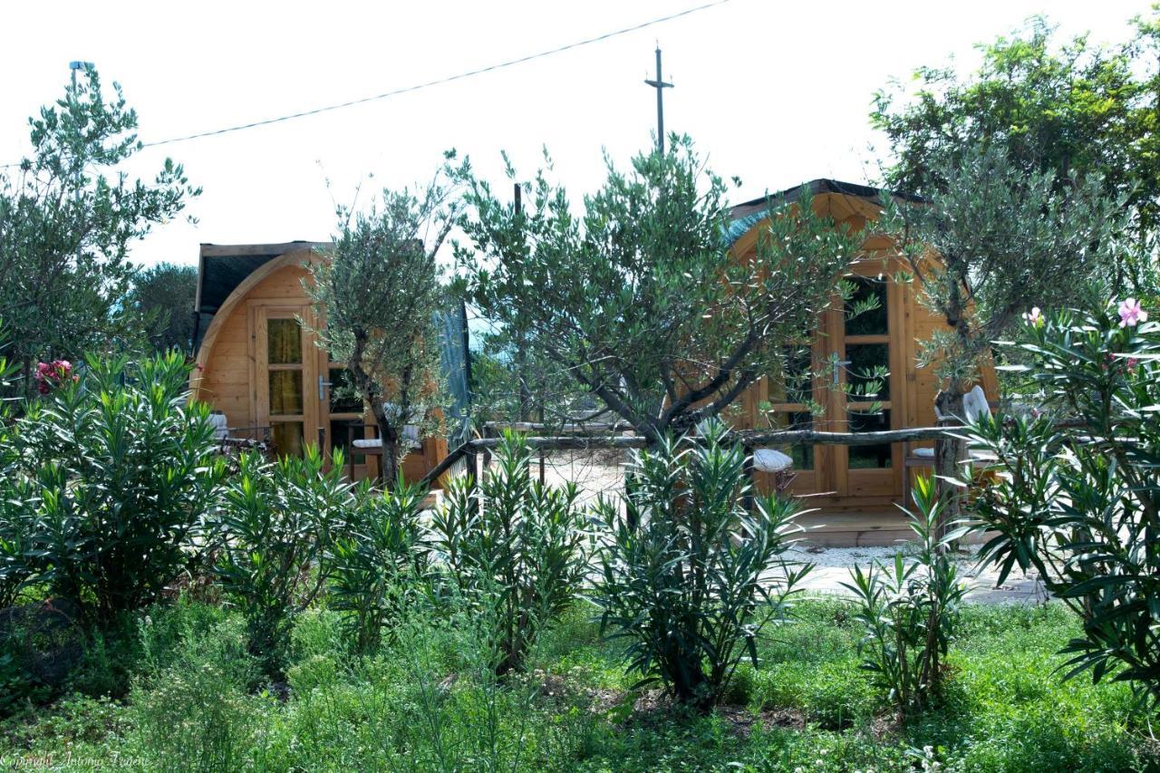 Torre Del Lago Bed & Breakfast